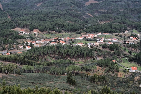 freixoeiro_cardigos_0