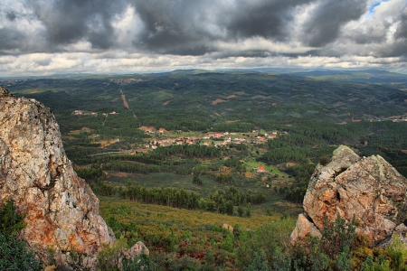 freixoeiro_cardigos_1