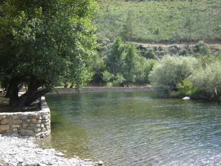 pegocancelas_cardigos_1