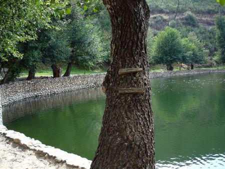 pegocancelas_vardigos_5