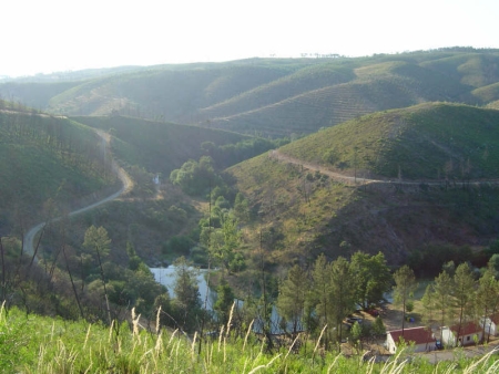 pegocancelas_cardigos_6